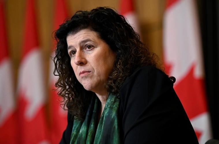 Auditor general calls for online application portal for refugees amid severe backlogs