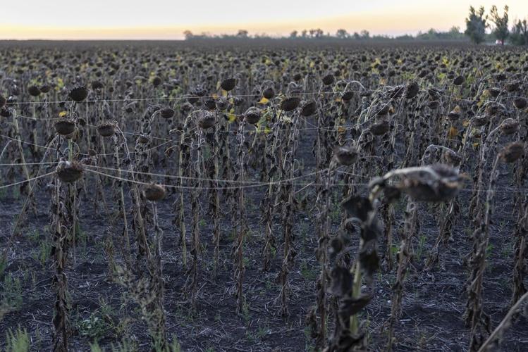 Ukraine faces a new test as Russia steps up its drive to seize Donetsk’s fortress belt