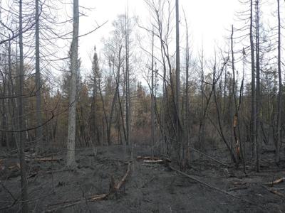 Rain should help Quebec firefighting effort as more than 7,200 people still evacuated