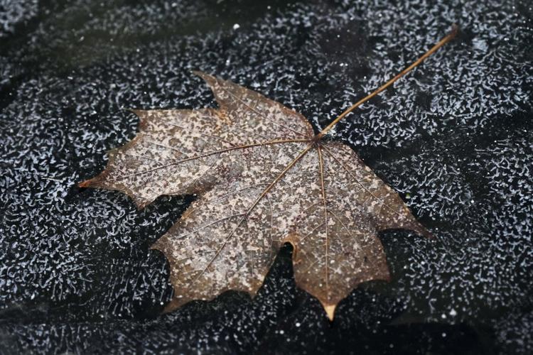 PHOTO COLLECTION: AP Top Photos of the Day, Thursday, December 12, 2024