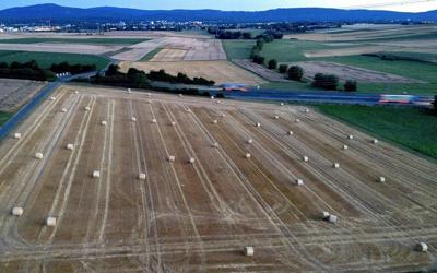 Germany, Austria issue warning to elderly and infirm as heatwave rolls in