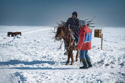 Heavy snows and drought of deadly 'dzud' kill more than 7 million head of livestock in Mongolia