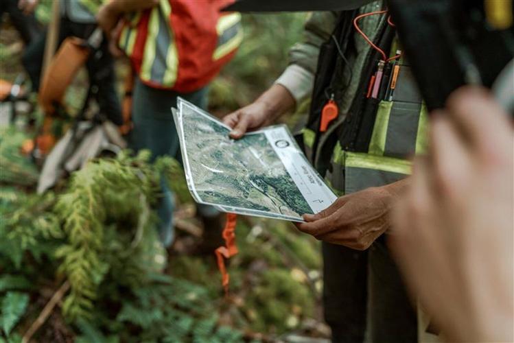 Vancouver Island First Nations gain control of three Clayoquot Sound forestry areas