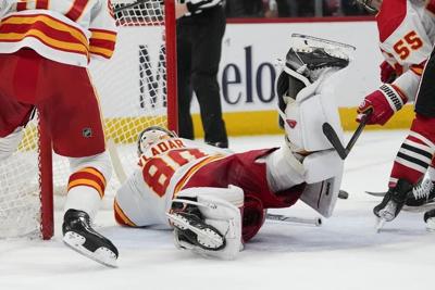 Flames place goaltender Vladar on IR, recall Wolf from AHL