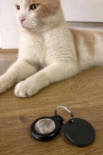 One Tech Tip: No more lost cats and dogs. Use tech to track your pet
