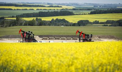 Experts urge Ottawa to seek new trading opportunities within the Western Hemisphere
