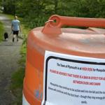 Massachusetts health officials report second case of potentially deadly mosquito-borne virus