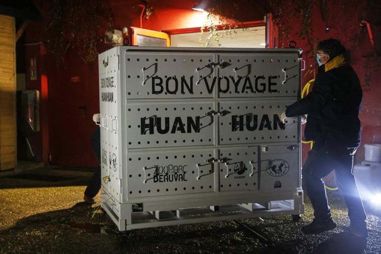 France says 'bon voyage' to 2 giant pandas as they head back to China