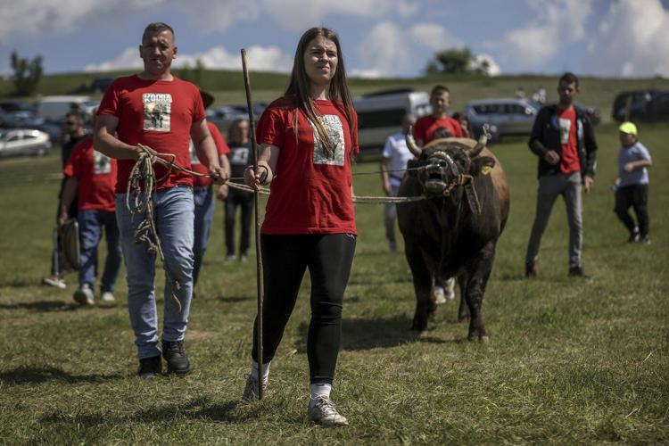 A teenage bullfighting enthusiast celebrates victories in Bosnia