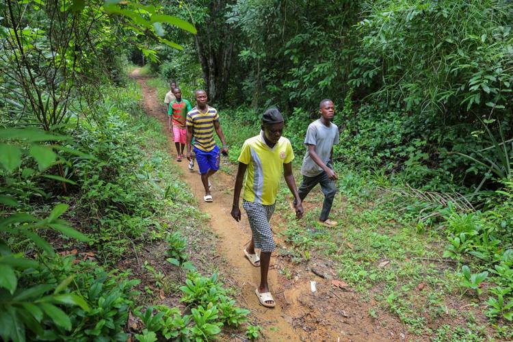 Liberia's largest gold miner repeatedly spilled dangerous chemicals, records show