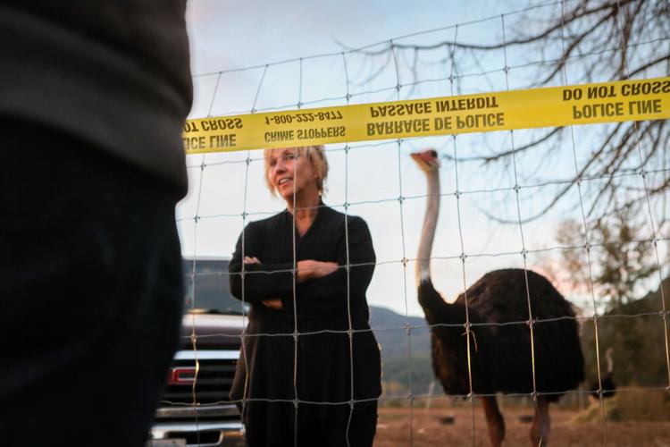 Photo-Gallery-Avian-Flu-Ostrich 21