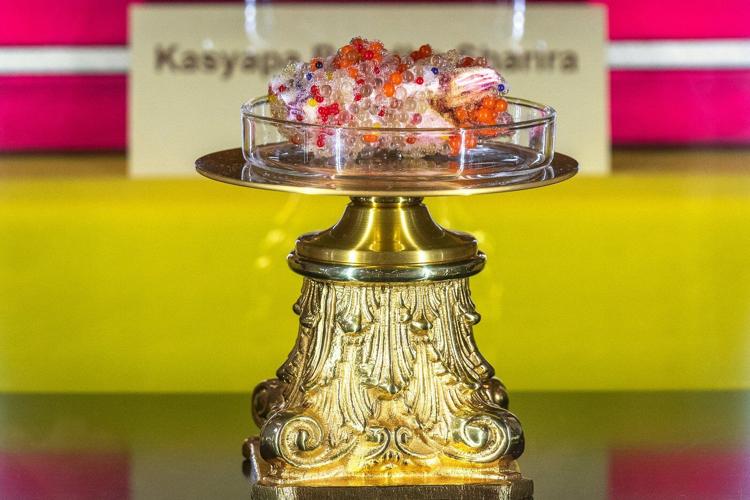 Teeth, finger bones and blessings: Buddhist relics inspire belief