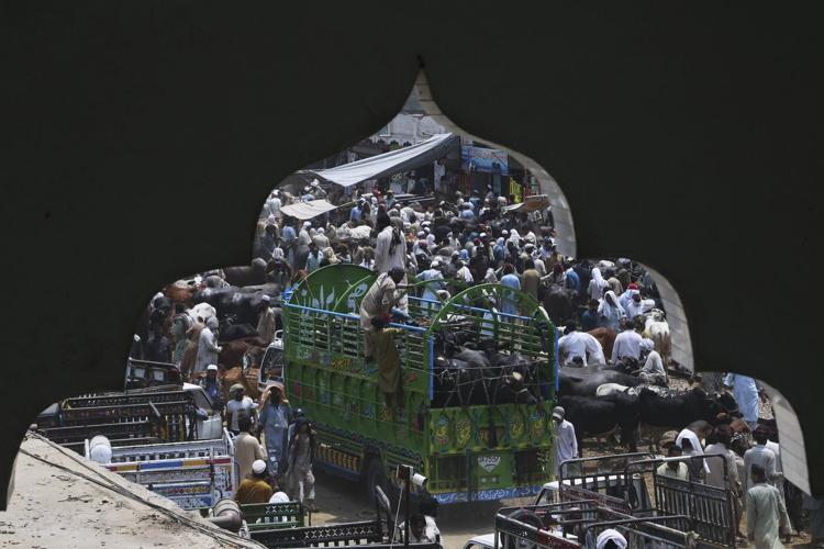 PHOTO COLLECTION: Eid al-Adha