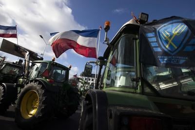 Dutch plan to cut nitrogen emissions gets EU green light