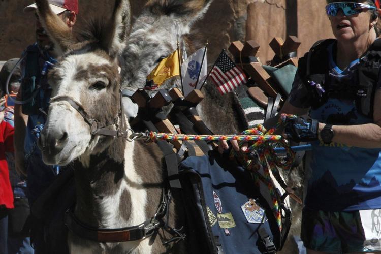 Burro racing wins over runners in backcountry ode to mining history