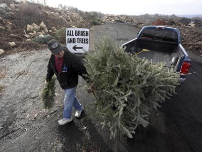 Christmas tree recycling is a good alternative to landfills
