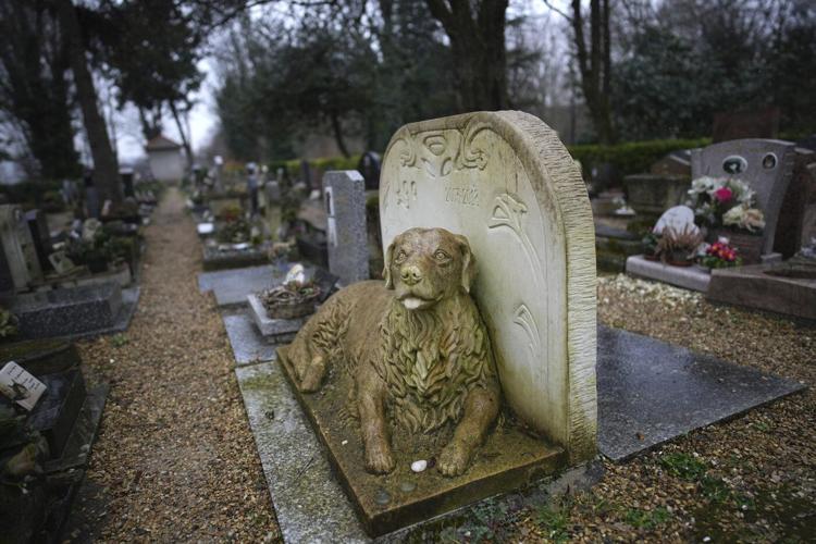 Losing a pet can cut deeper than many people realize. Here’s how friends can help