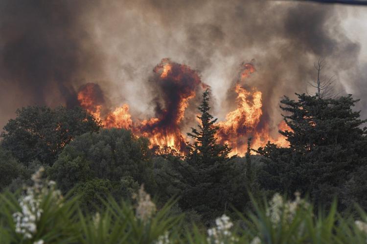 Parts of Europe burn as millions are facing record heat