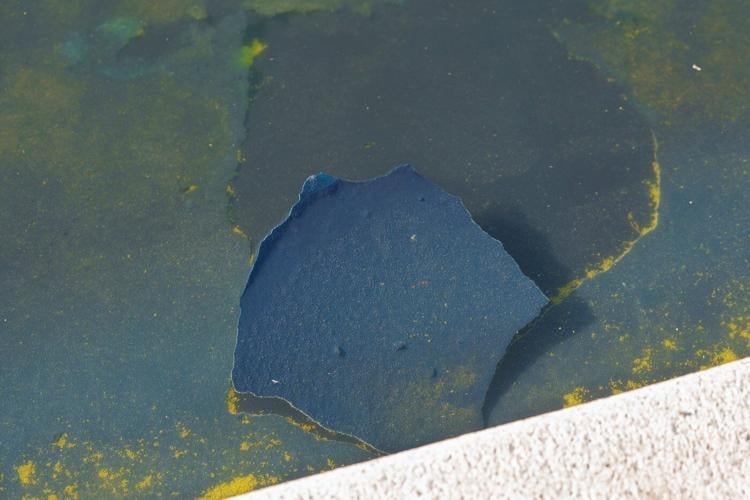 Patrols and nanobubbles continue at the Reflecting Pool as Trump looks for a renovation do-over