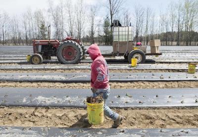 Une étude montre un taux élevé d'accidents de travail chez les immigrants à Montréal