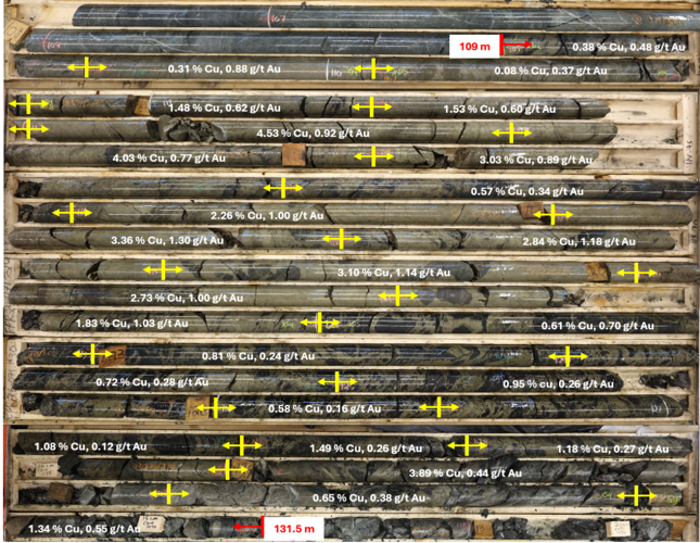 FireFly makes another significant high-grade copper-gold VMS discovery