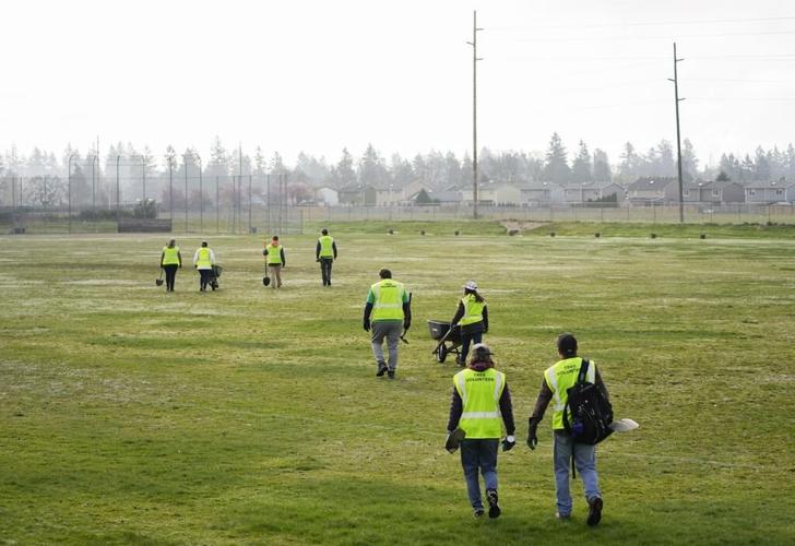 Historic investment in urban trees underway across the U.S.