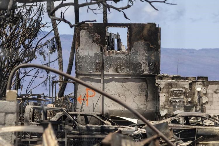 Maui's emergency services chief resigns after facing criticism for not activating sirens during fire