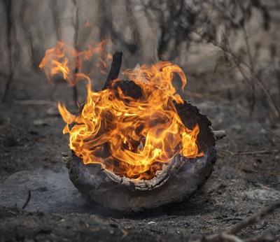 New Mexico lawmakers seek assurances amid prescribed burns