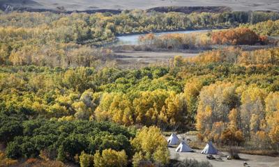 First Nation seeking court ruling on Alberta ending coal mining moratorium