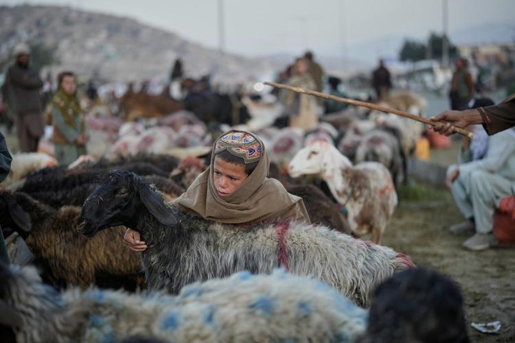 AP PHOTOS: Afghans mark Eid al-Adha on its fourth year since the return of the Taliban