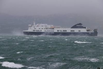 Man killed by tree branch, pedestrian blown into road as storm buffets Wellington, New Zealand