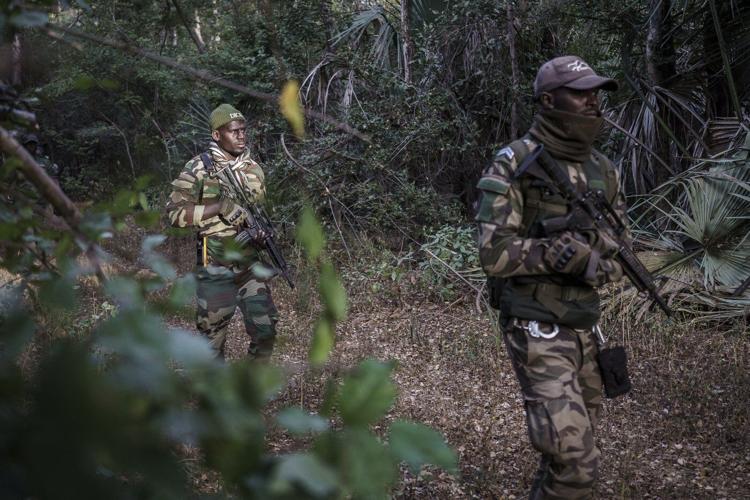 Mystical beliefs fuel Senegal’s illegal big cat trade and threaten lion’s survival in West Africa