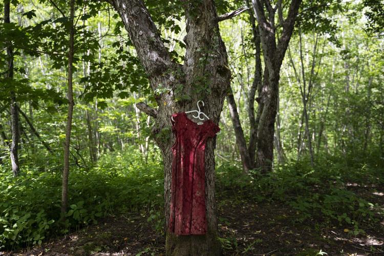 Indigenous women's groups urge funding to limit risks to safety, prosperity