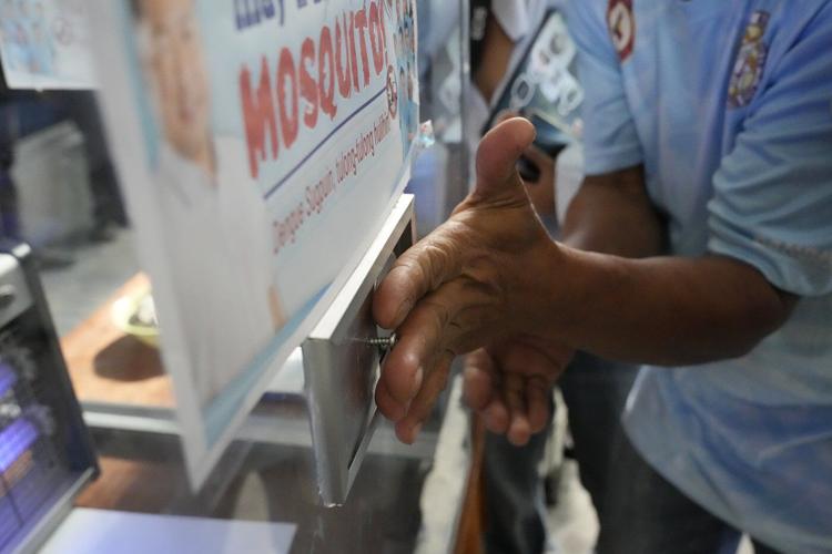 Philippine village battles dengue by offering bounties for mosquitos - dead or alive