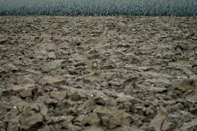 Tractor protests threaten to drive the EU's green farming policies into a ditch