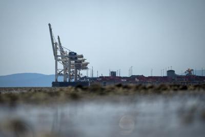 B.C. port terminal among sites blocked in co-ordinated pro-Palestinian protests