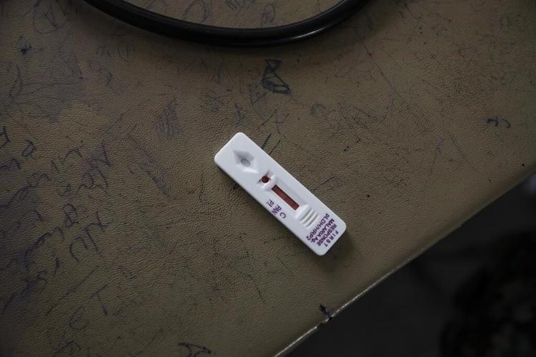 Invasive mosquitoes could unravel malaria progress in Africa