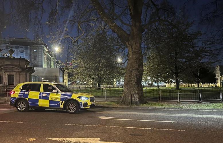 Man arrested outside Buckingham Palace with suspected weapon