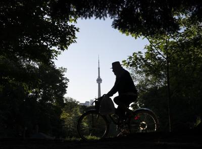 Death of woman hit by branch in Toronto park shows need for maintenance: arborists