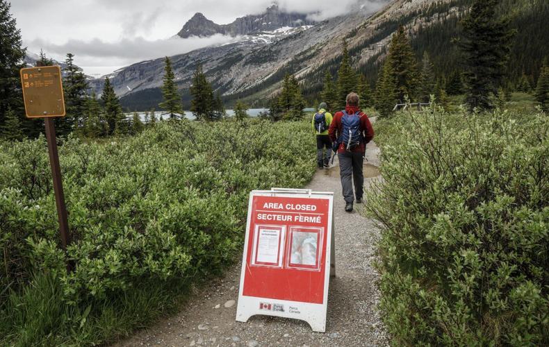 RCMP identify second victim of Banff rockfall as man, 33, from Surrey, B.C.