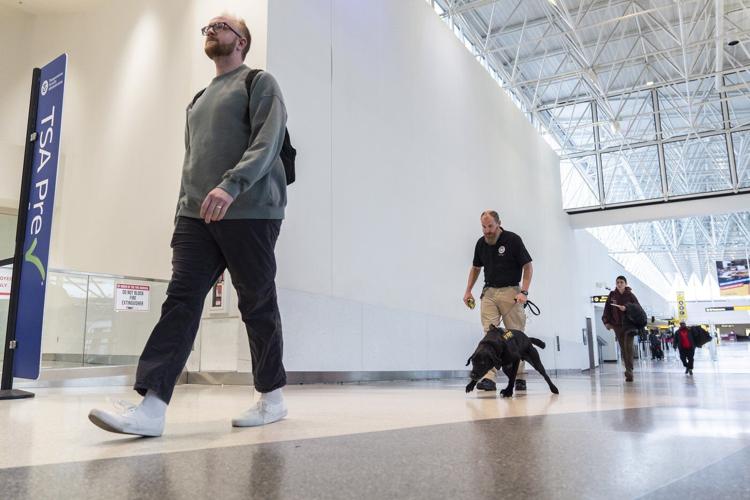 Argo the dog, a TSA calendar star, protects air travelers by sniffing out explosives