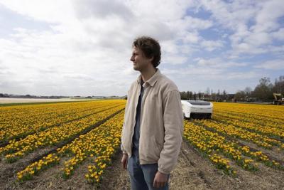 An AI robot is spotting sick tulips to slow the spread of disease through Dutch bulb fields