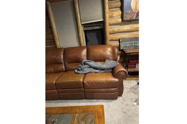 Black bear shot and killed by Montana man in his living room after break-in