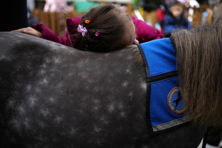 Greece's only miniature therapy horses bring joy to many, but their charity is struggling