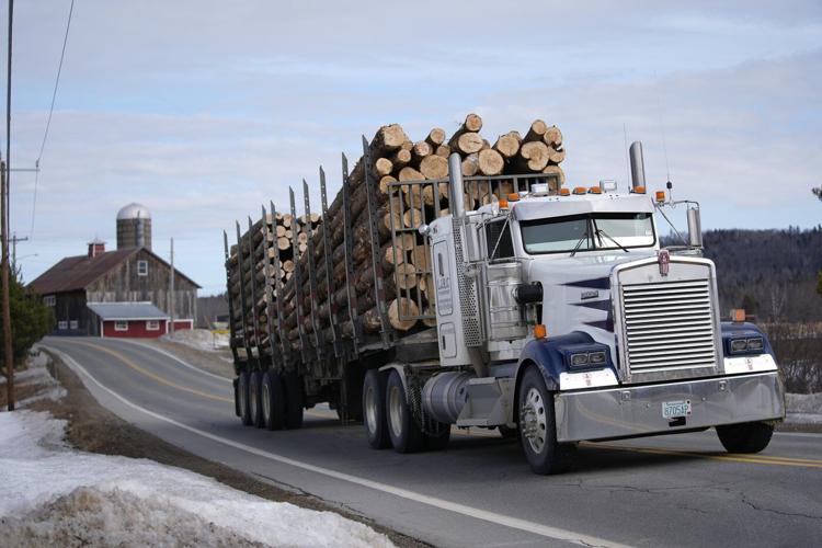 PHOTO COLLECTION: Trump tariffs lumber