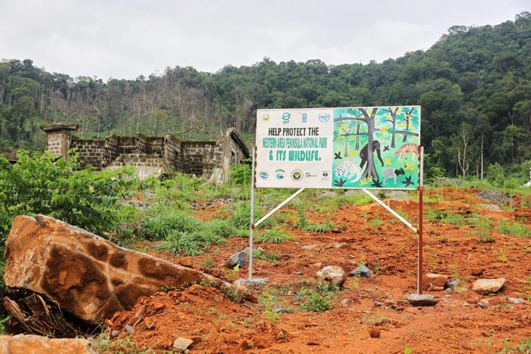 Sierra Leone officials facilitated illegal mansion-building in a key national park