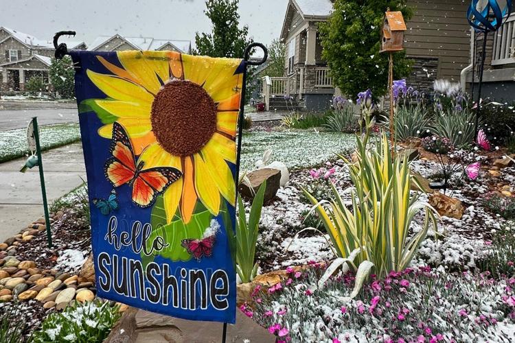 Spring plans meet snow in Denver as a late storm could be the season's biggest