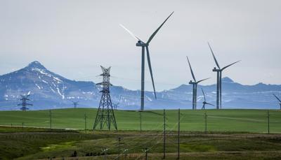 Net-zero grid could spark flurry of deal-making in renewables sector: report