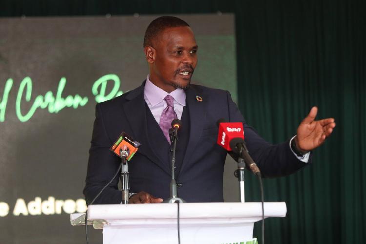 Kenya launches a carbon registry to boost climate finance and credibility