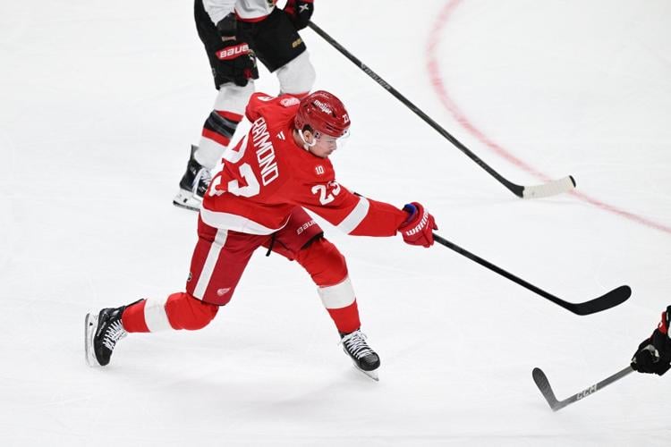 DeBrincat scores in OT to give Red Wings 4-3 win over Senators